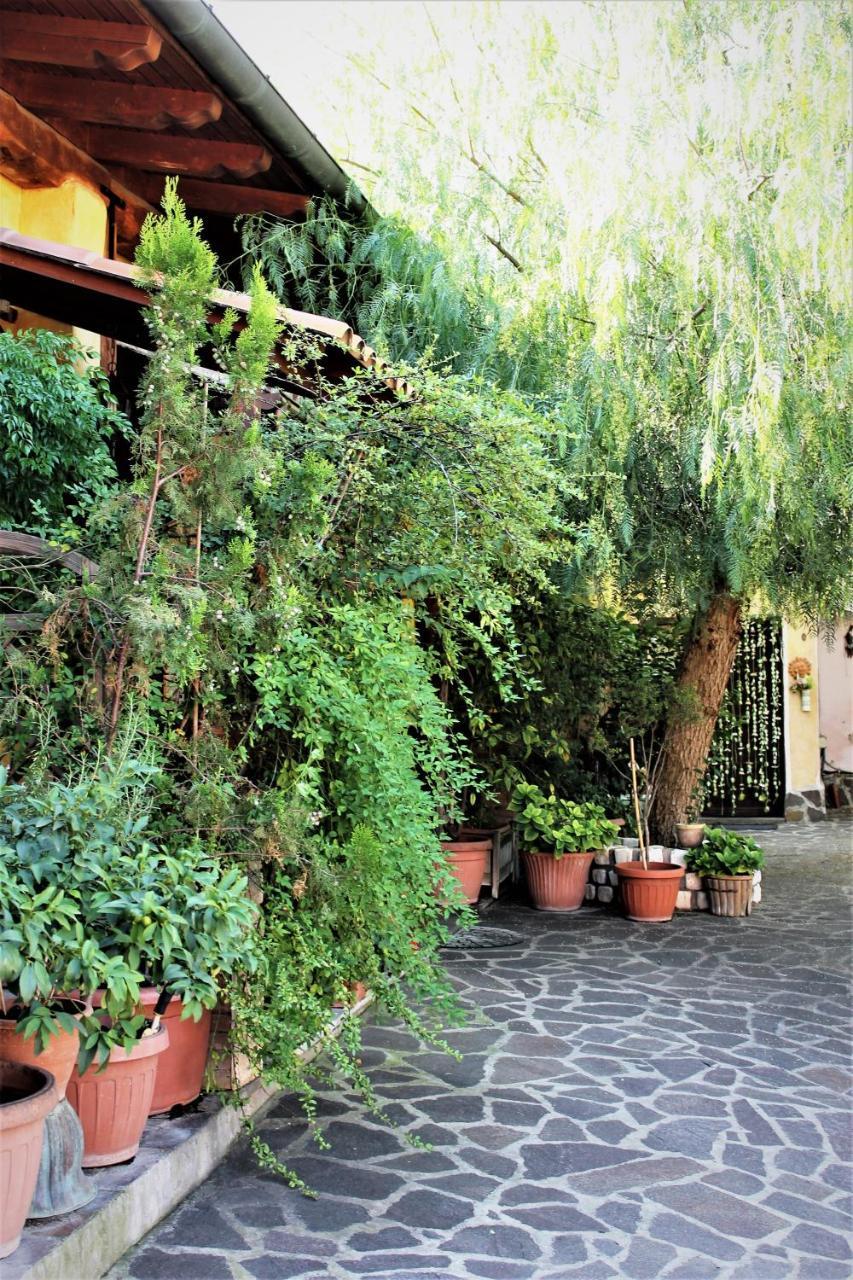I Gerani Rossi Otel Roma Dış mekan fotoğraf